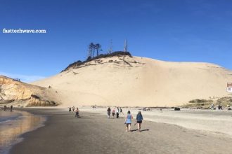 Pacific City Travel Guide