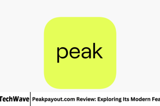 Peakpayout.com Review: Exploring Its Modern Features