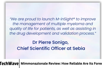 Mimmonazionale Review: How Reliable Are Its Forecasts?