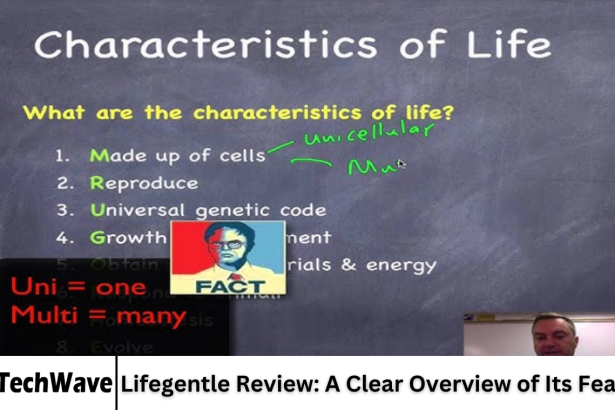 Lifegentle Review: A Clear Overview of Its Features